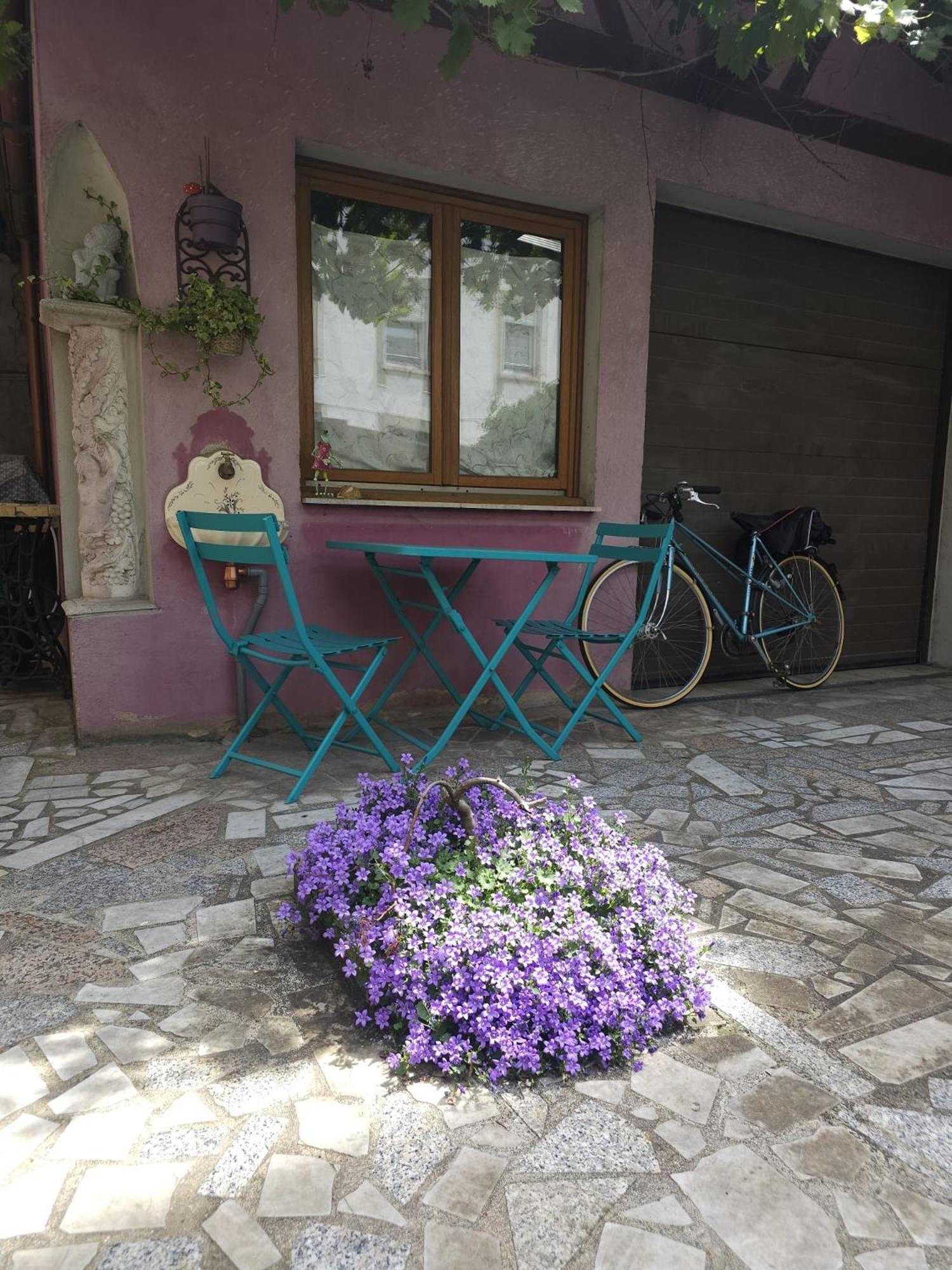 Petit Paradis Croneuva Strasbourg Exterior foto